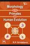 MORPHOLOGY OF THE PRIMATES AND HUMAN EVOLUTION